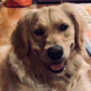 Meet your Posher, Hayley